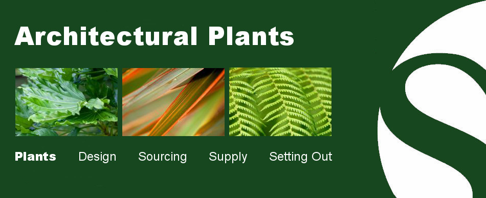 architectural plants slide