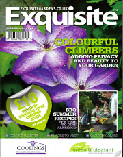 Exquisite Mag 1