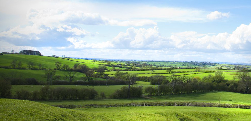 Garden Design Leicestershire