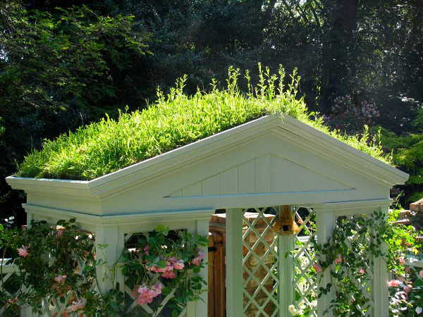 greenroofimage