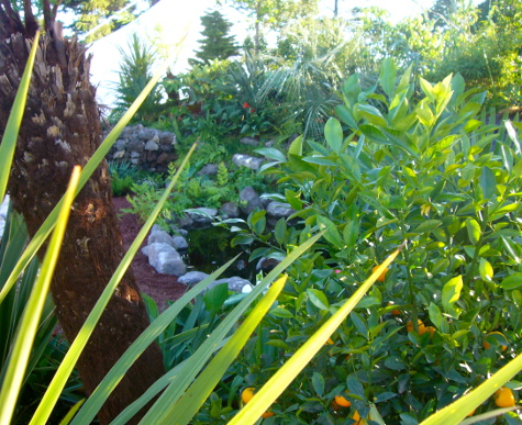 Hampton 2012 11