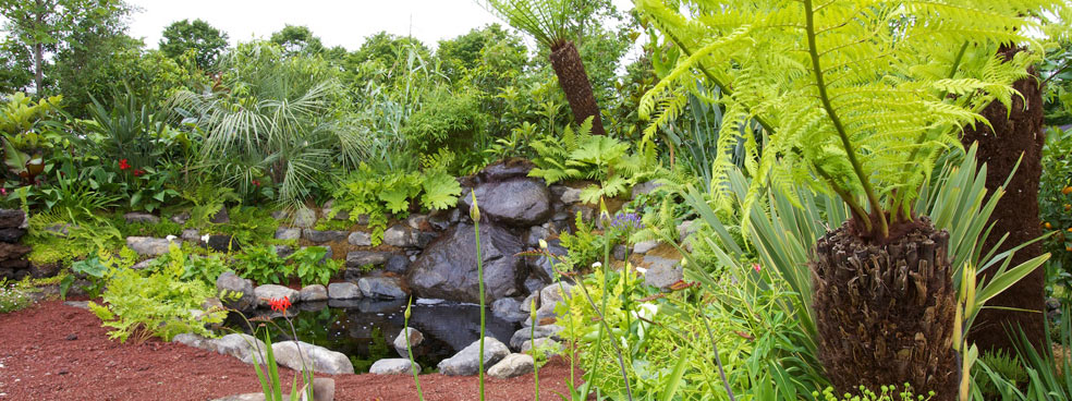 The Azores Garden 2012