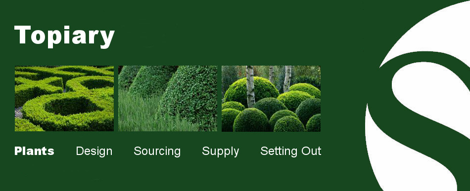 topiary slide