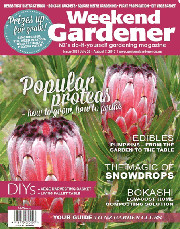 Weekend Mag 1